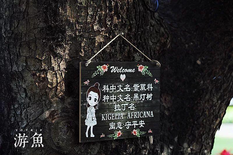 科学匹配运力 有序应对客流高峰
