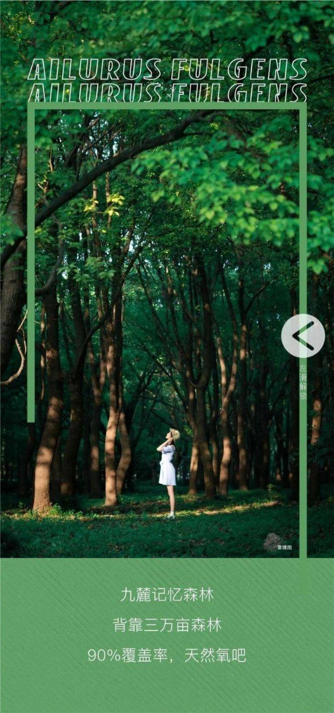 这叫什么花？游戏画面